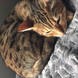 Meet your Posher, Steven